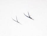 0.07mm YY EYELASH EXTENSION 12 rows - Universe Beauty Lashes